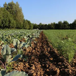 Farm stay Corte Bertesina, Vicenza